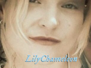 LilyChameleon