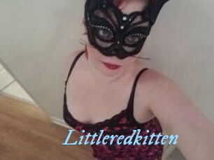 Littleredkitten
