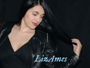 LizAmes