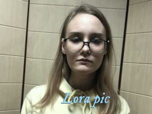 Lora_pic
