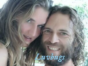 Luvbugs