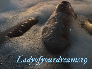 Ladyofyourdreams19