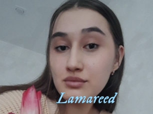 Lamareed