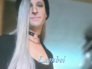Lamboi