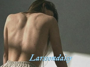 Larssondaisy
