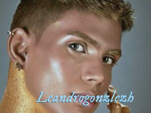 Leandrogonzlezh