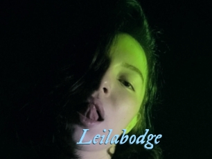 Leilabodge