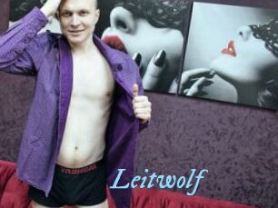 Leitwolf