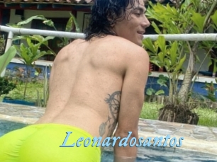 Leonardosantos