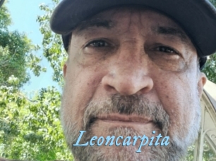 Leoncarpita