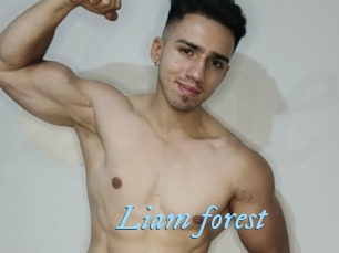 liam_forest DeriheruI