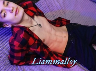 liammalloy DeriheruI