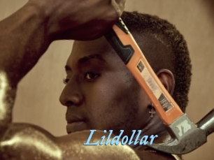 Lildollar