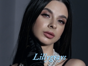 Lillygrays