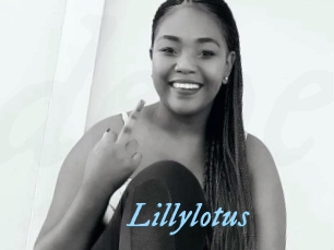 Lillylotus