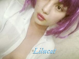 Lilucat