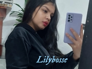 Lilybosse