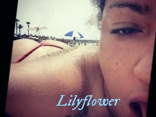 Lilyflower