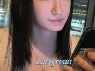 Lilygrows