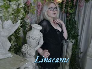 Linacams