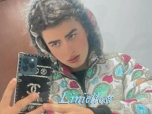 Liniellost