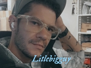 Litlebigguy