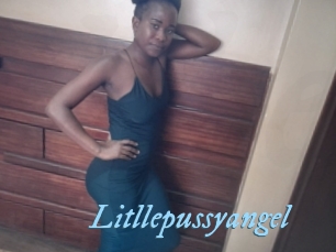 Litllepussyangel