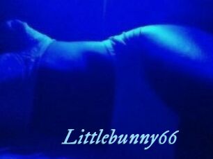 Littlebunny66
