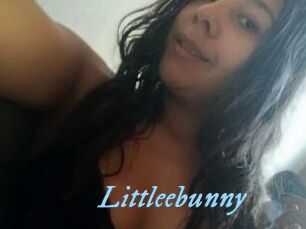 Littleebunny