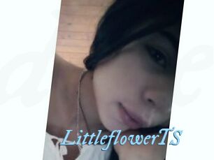 LittleflowerTS