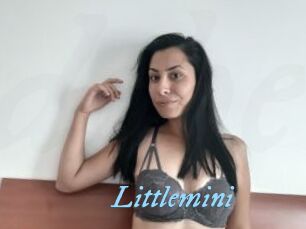 Littlemini