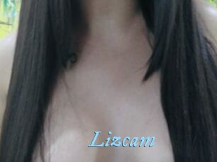 Lizcam