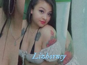 Lizhorney