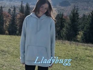 Lladybugg