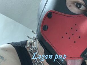 Logan_pup