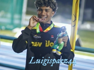 Luigispaez44