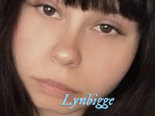 Lynbigge