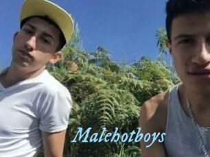 Malehotboys