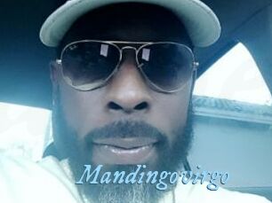 Mandingovirgo
