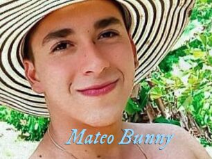 Mateo_Bunny