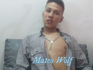 Mateo_Wolf