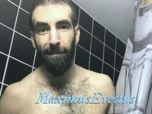 MaximusErectus
