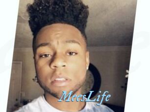 MeesLife