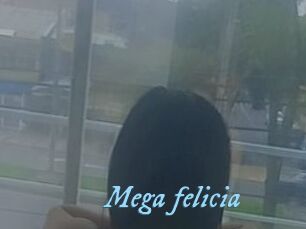 Mega_felicia