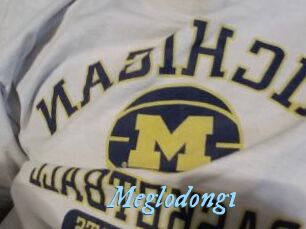 Meglodong1