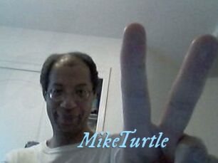 MikeTurtle
