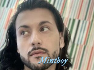 Mintboy