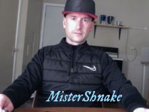MisterShnake