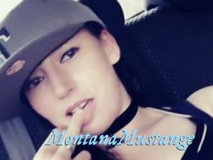MontanaMustange
