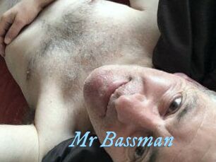 Mr_Bassman